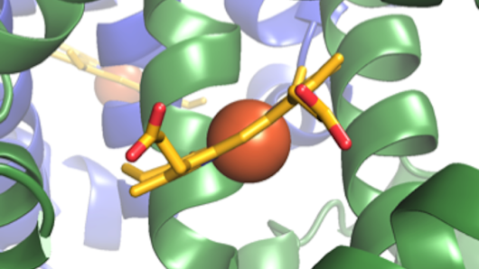 Crystal structure of human hemoglobin