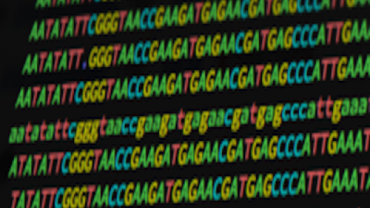 lines of genomic data (dna is made up of sequences of a, t, g, c)